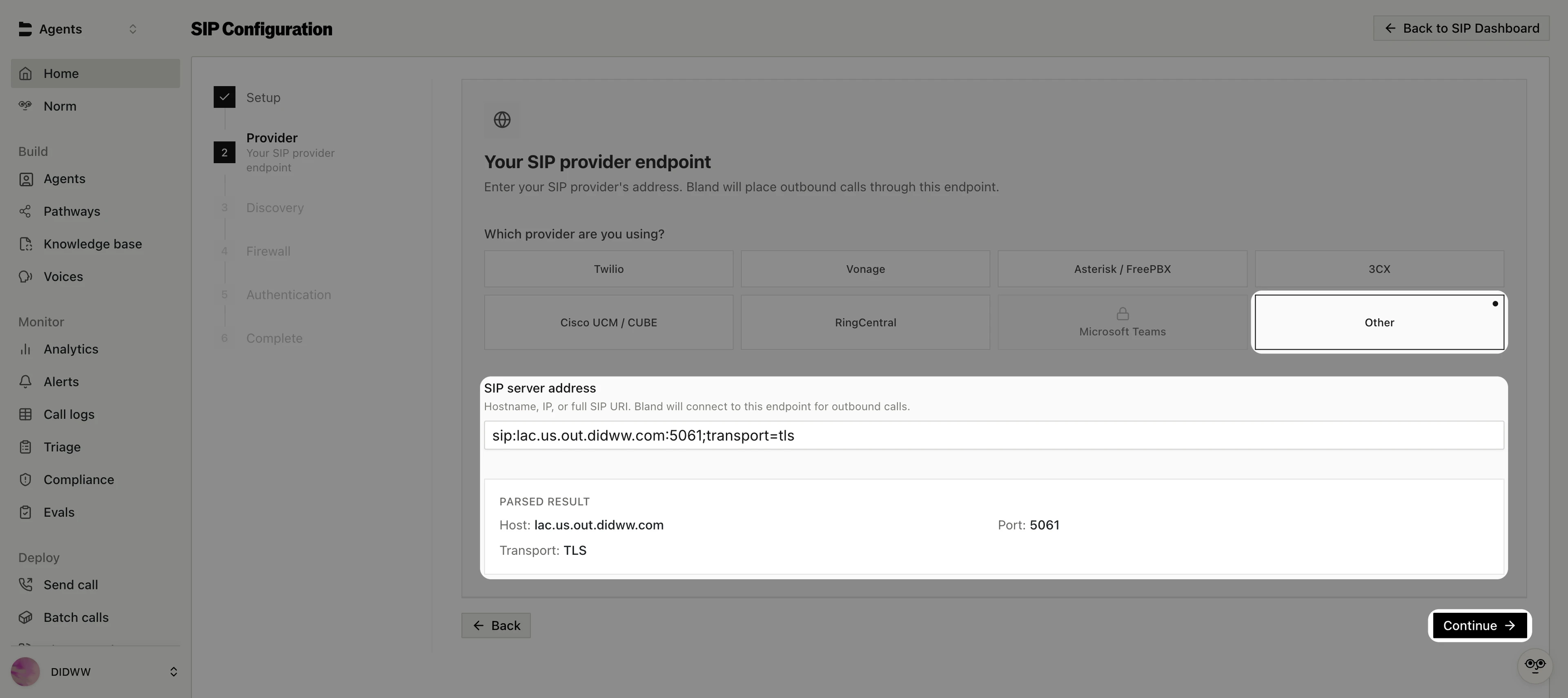 Provider step with Other selected and the DIDWW TLS endpoint entered